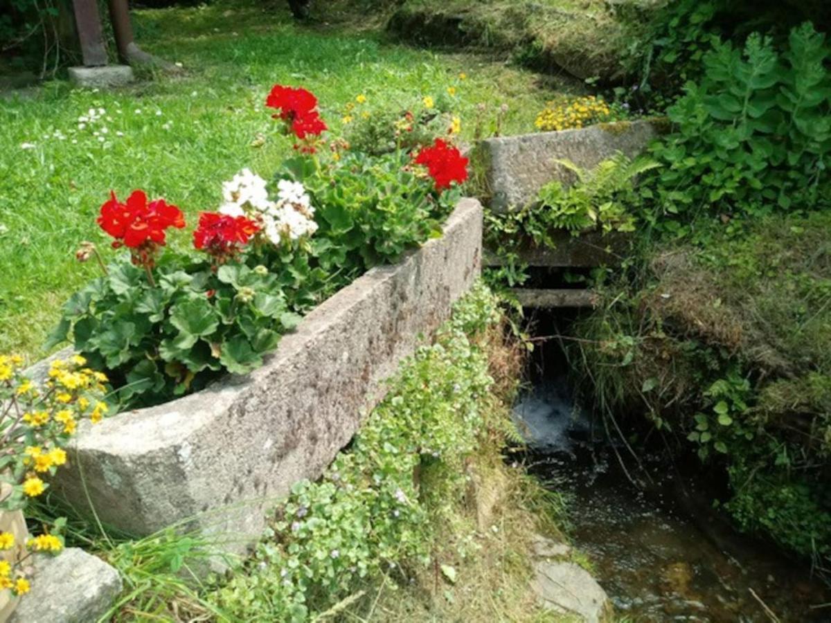 Chaloupka Na Konci Sveta Villa Raskov Luaran gambar